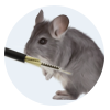 Anti-Tensile
