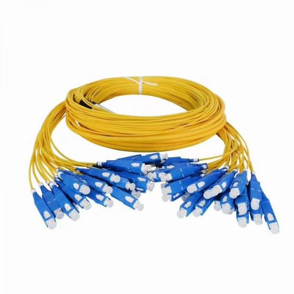24F SC/UPC SM Patch cord 