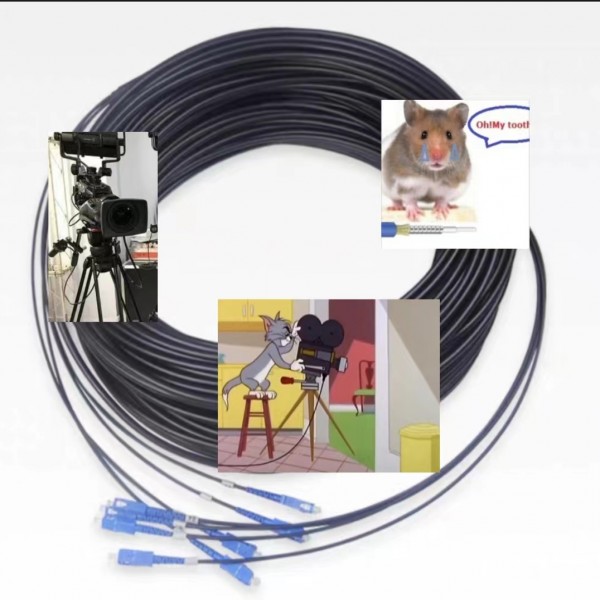 Optic Fiber Cable single mode 4 core